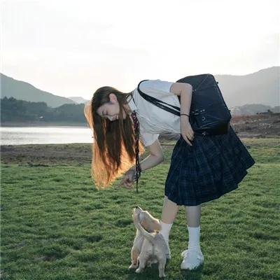 蓬岛春潮